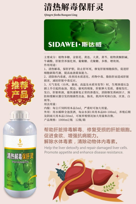 清热解毒保肝灵