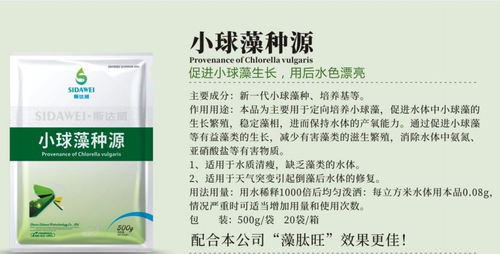 小球藻种源