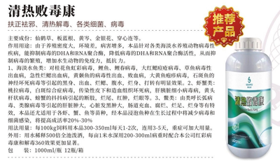 清热败毒康