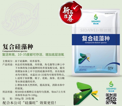 复合硅藻种