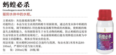蚂蝗必杀