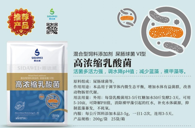 高浓酸乳酸菌
