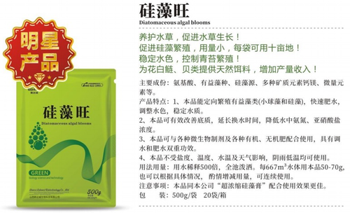 硅藻旺